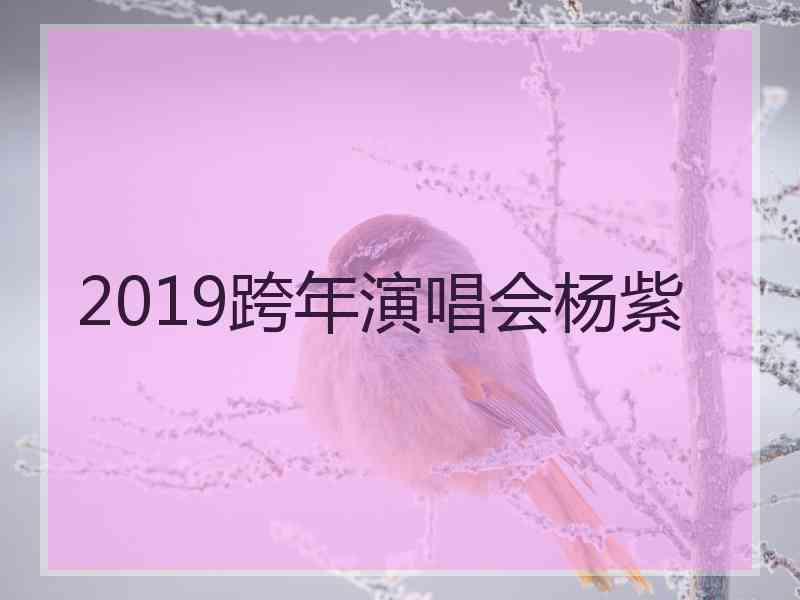 2019跨年演唱会杨紫