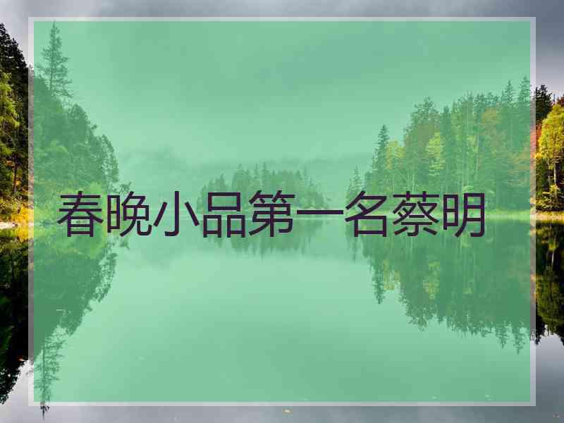 春晚小品第一名蔡明