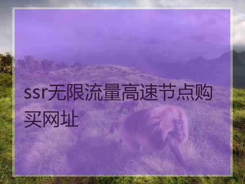 ssr无限流量高速节点购买网址