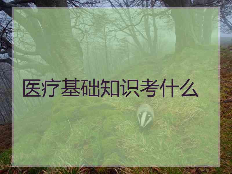 医疗基础知识考什么