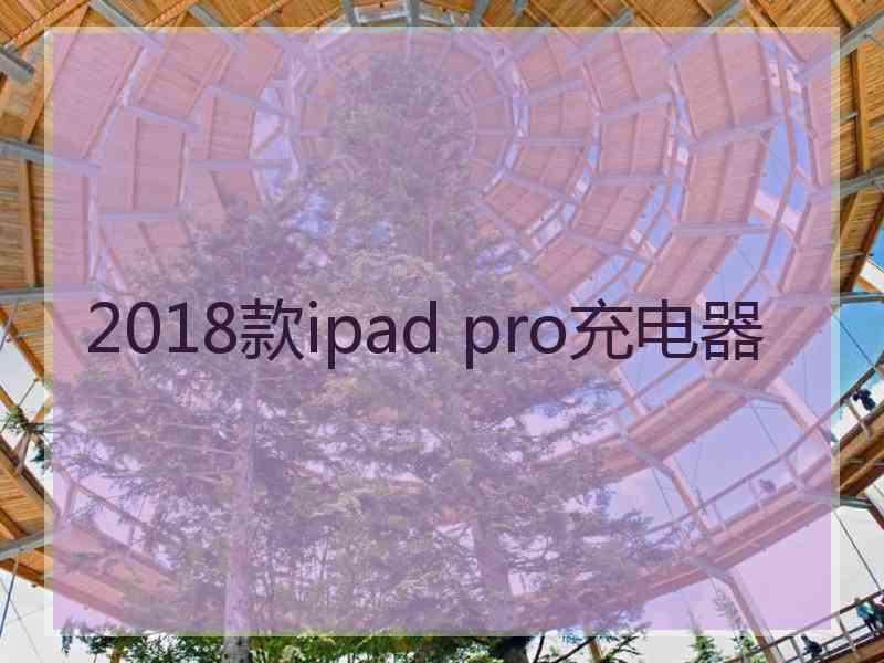 2018款ipad pro充电器