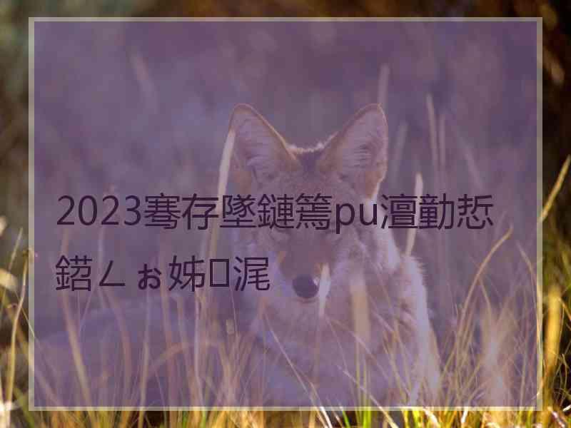 2023骞存墜鏈篶pu澶勭悊鍣ㄥぉ姊浘
