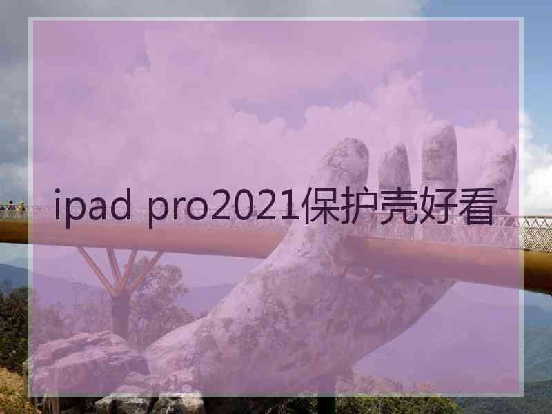 ipad pro2021保护壳好看