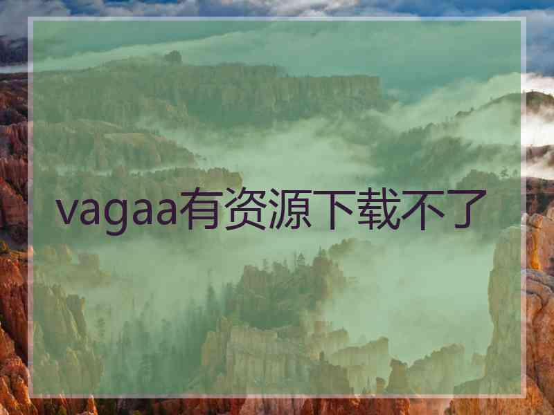 vagaa有资源下载不了