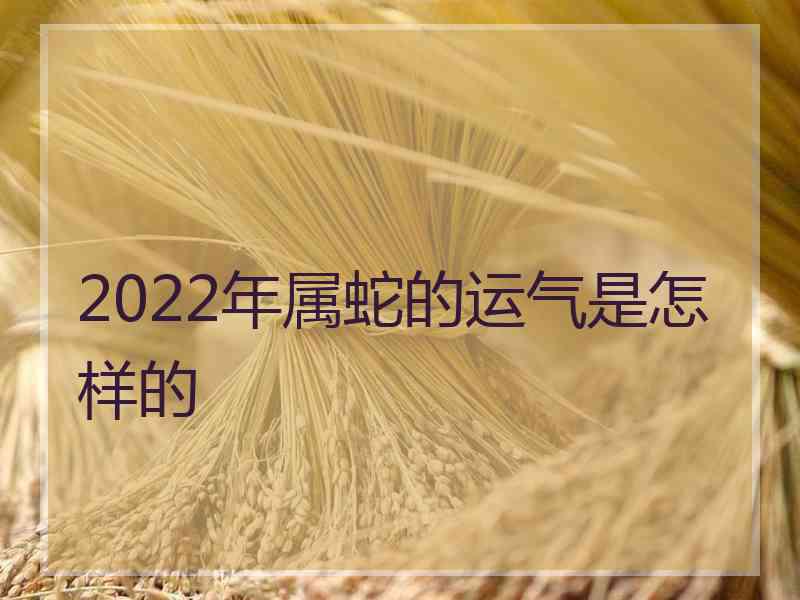 2022年属蛇的运气是怎样的