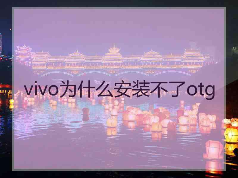 vivo为什么安装不了otg