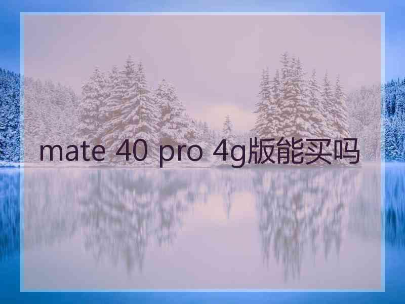 mate 40 pro 4g版能买吗