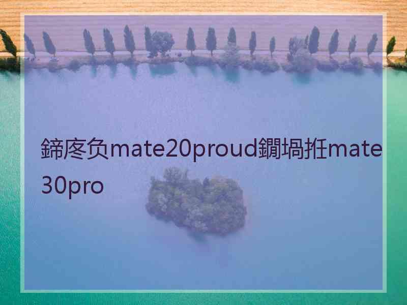 鍗庝负mate20proud鐗堝拰mate30pro