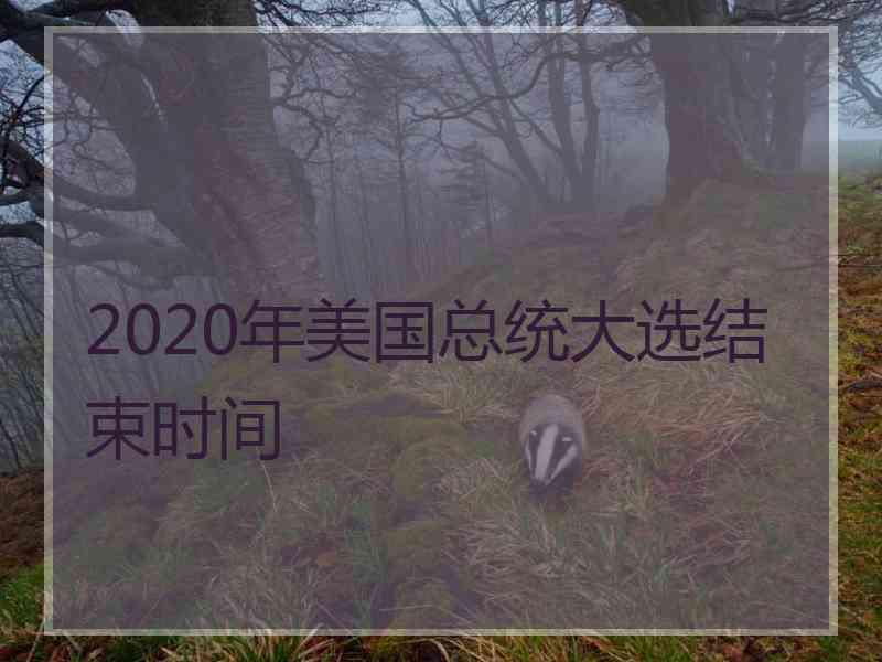 2020年美国总统大选结束时间