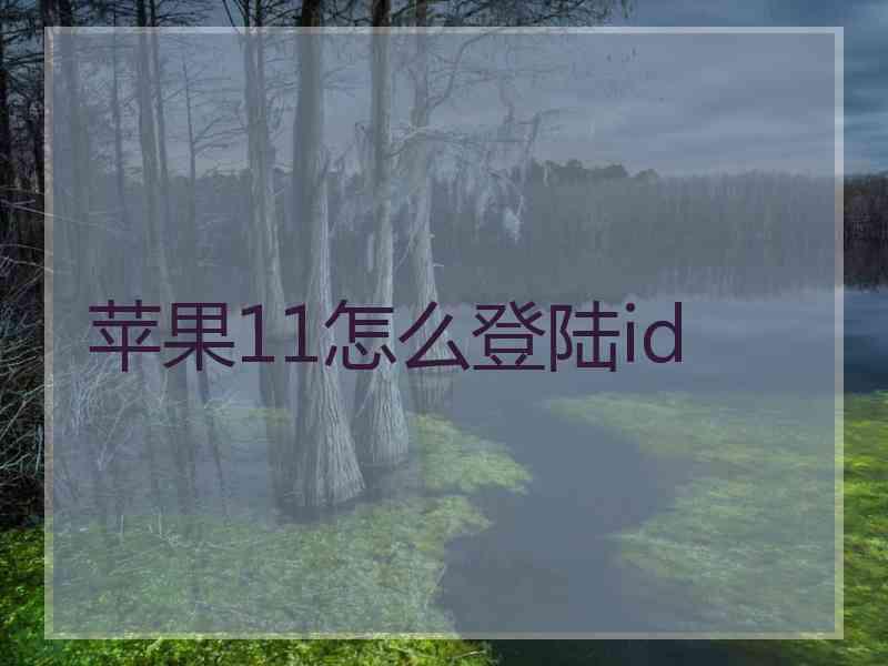 苹果11怎么登陆id