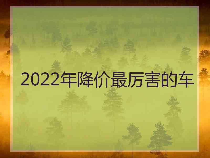 2022年降价最厉害的车