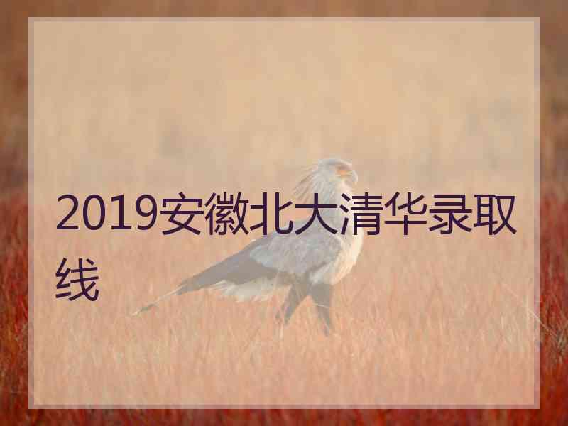 2019安徽北大清华录取线