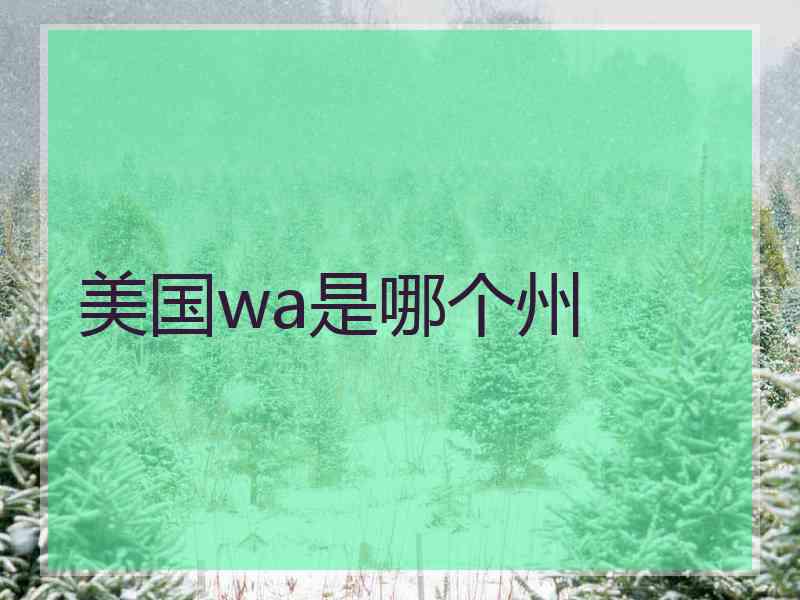 美国wa是哪个州
