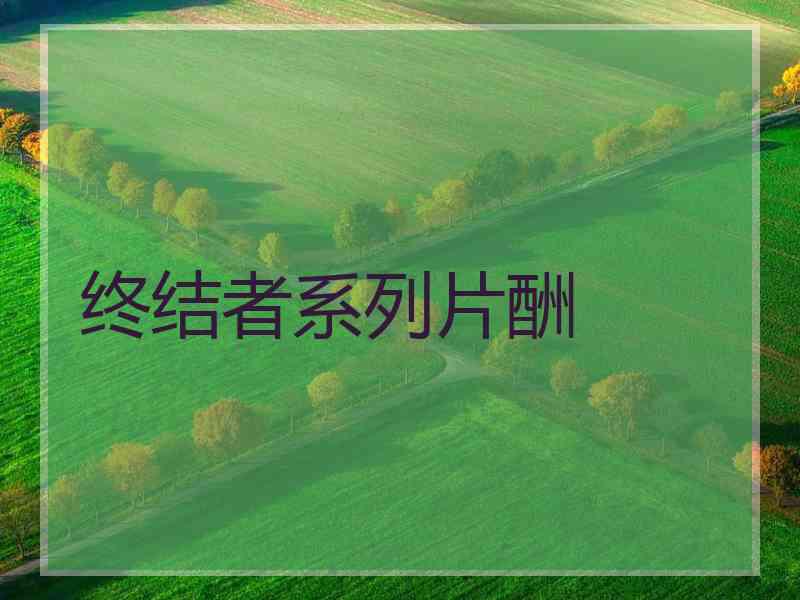 终结者系列片酬