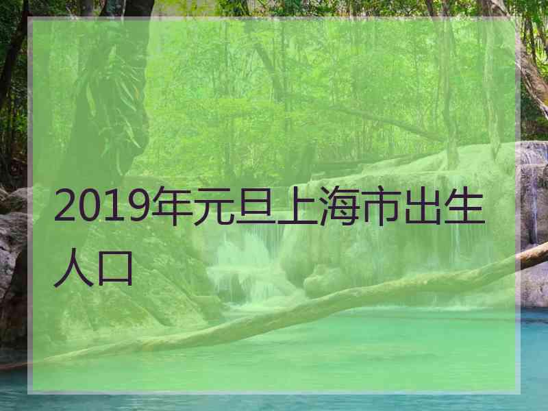 2019年元旦上海市出生人口