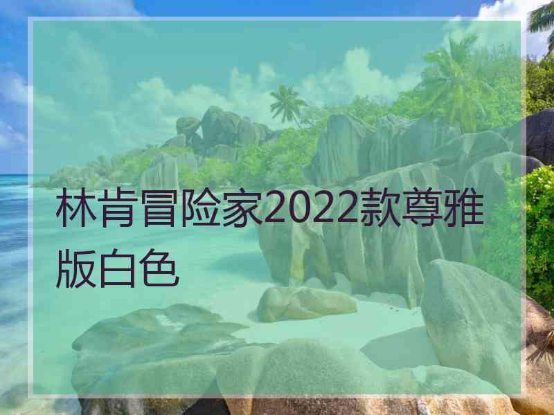 林肯冒险家2022款尊雅版白色