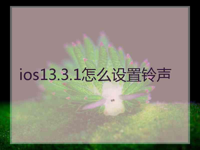 ios13.3.1怎么设置铃声