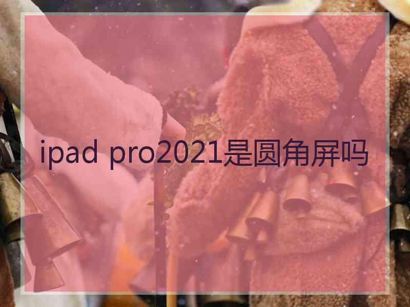 ipad pro2021是圆角屏吗