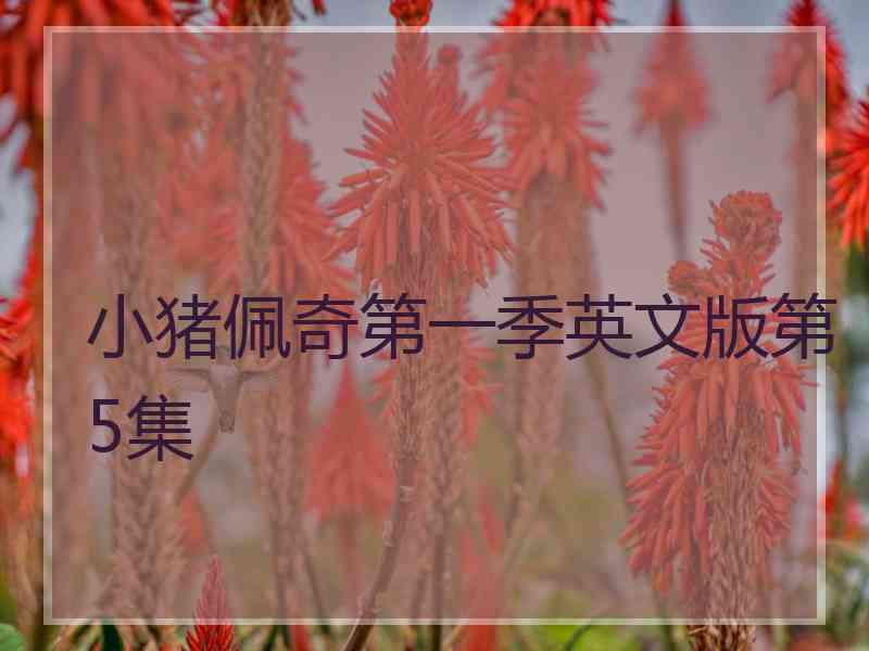 小猪佩奇第一季英文版第5集