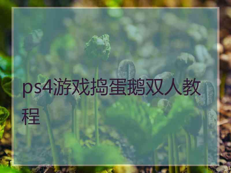ps4游戏捣蛋鹅双人教程
