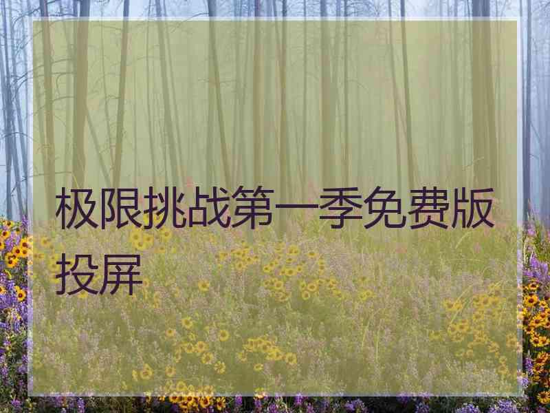 极限挑战第一季免费版投屏