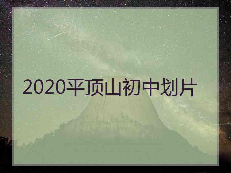 2020平顶山初中划片