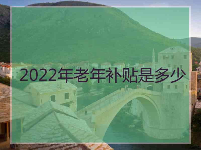 2022年老年补贴是多少