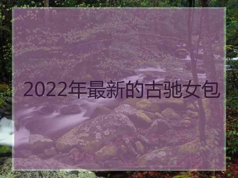 2022年最新的古驰女包