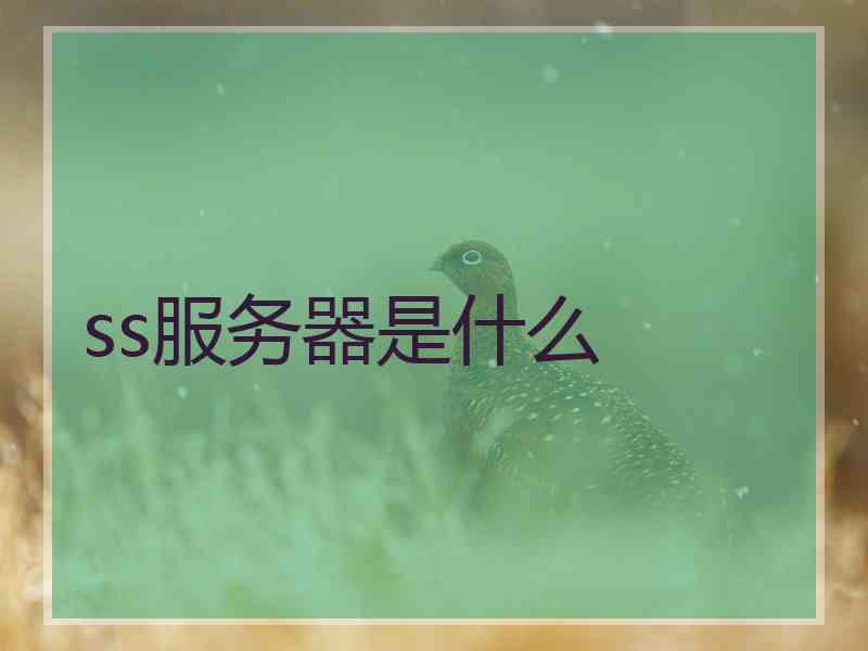 ss服务器是什么
