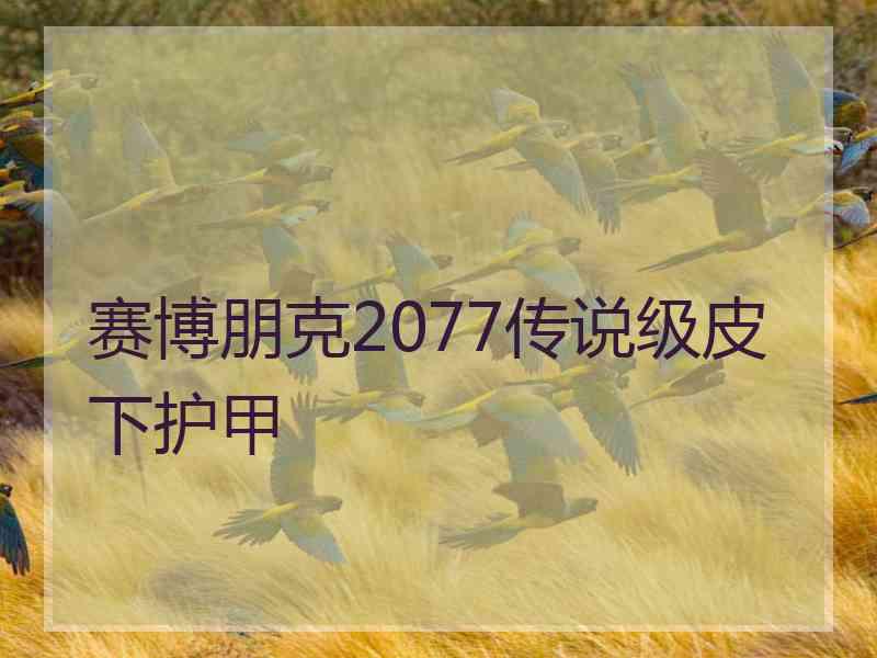 赛博朋克2077传说级皮下护甲