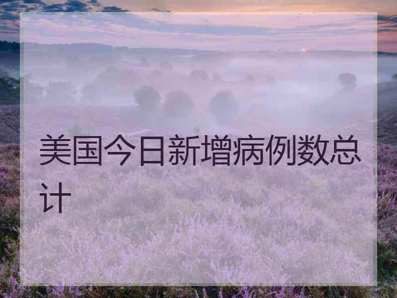 美国今日新增病例数总计