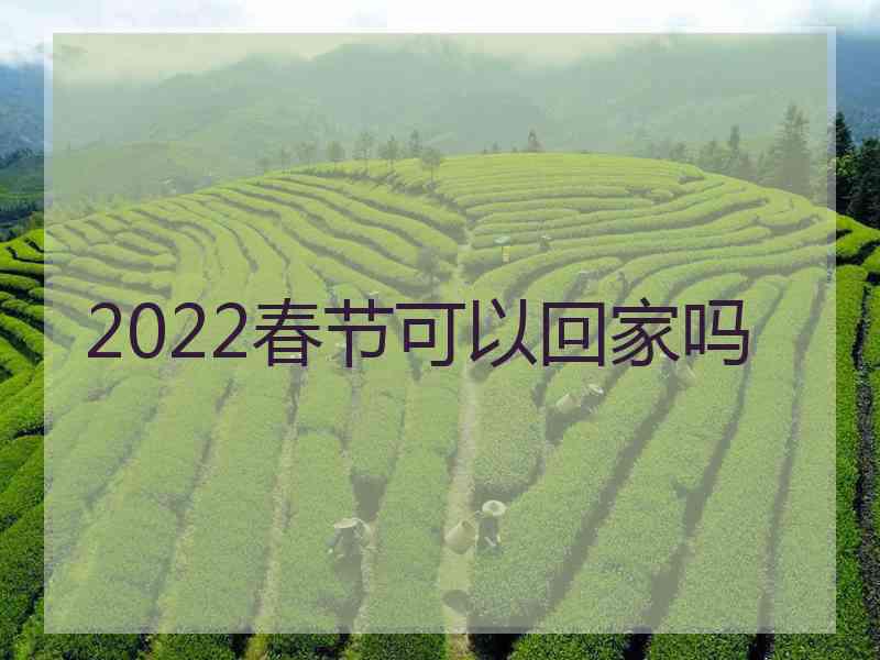 2022春节可以回家吗