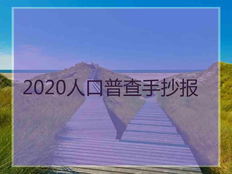 2020人口普查手抄报