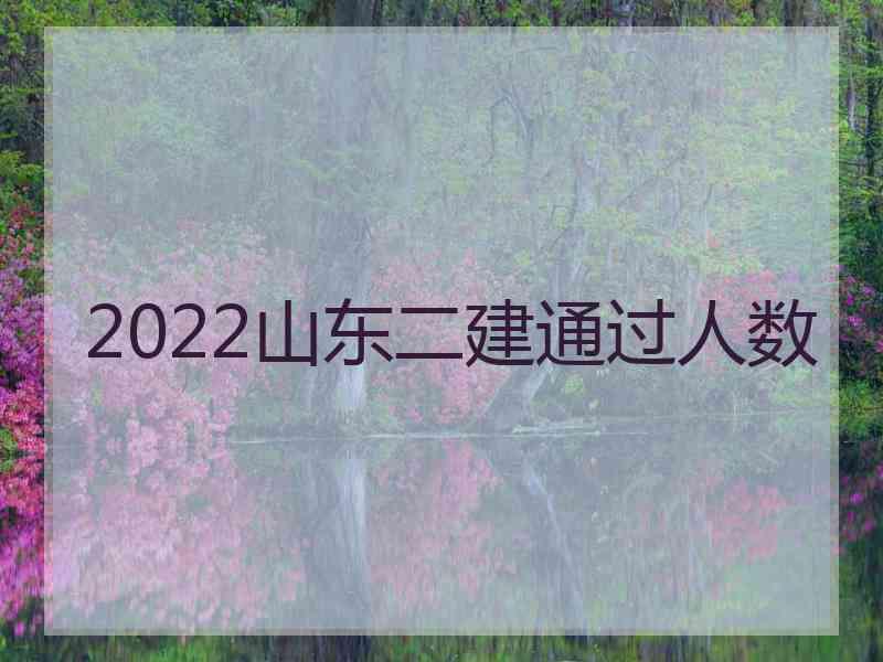 2022山东二建通过人数