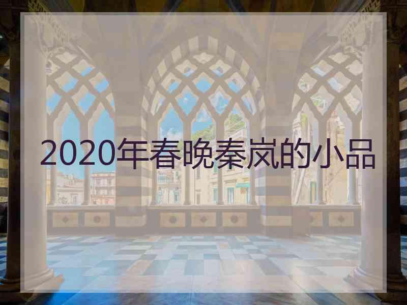 2020年春晚秦岚的小品