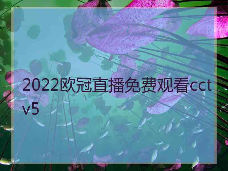 2022欧冠直播免费观看cctv5