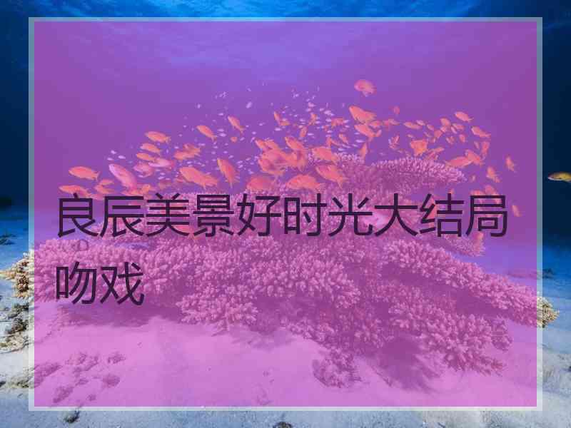 良辰美景好时光大结局吻戏