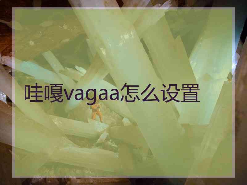 哇嘎vagaa怎么设置