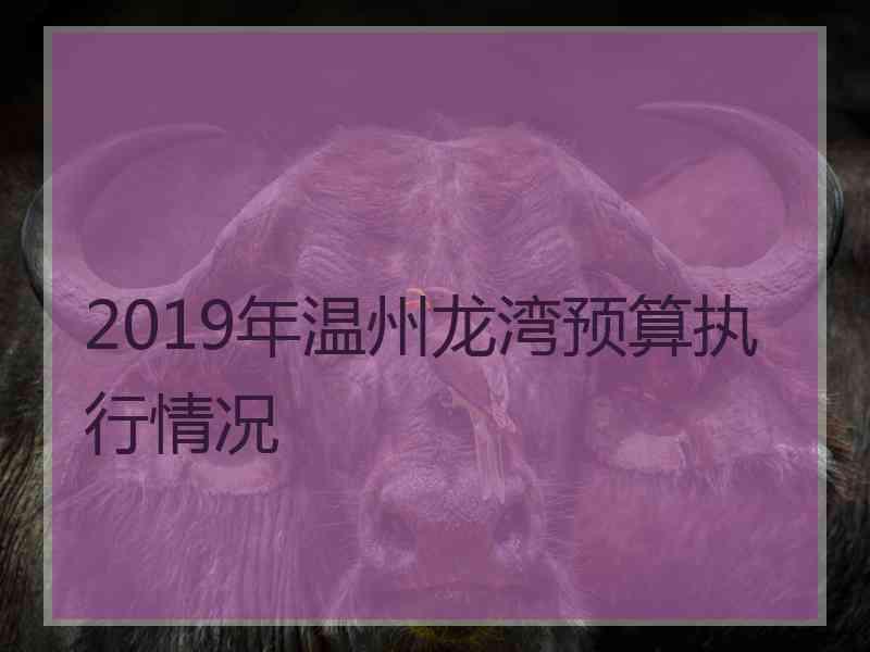 2019年温州龙湾预算执行情况