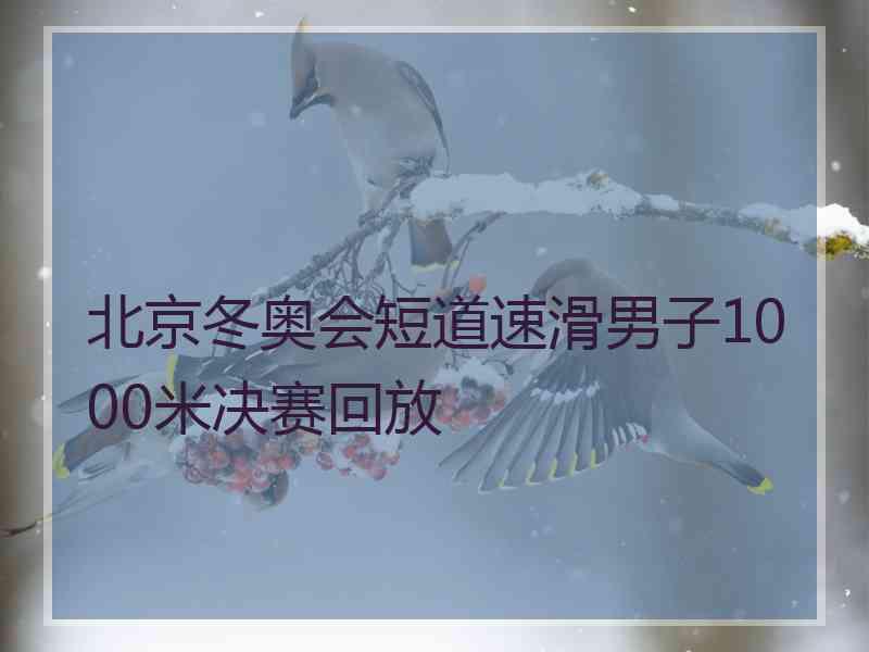 北京冬奥会短道速滑男子1000米决赛回放