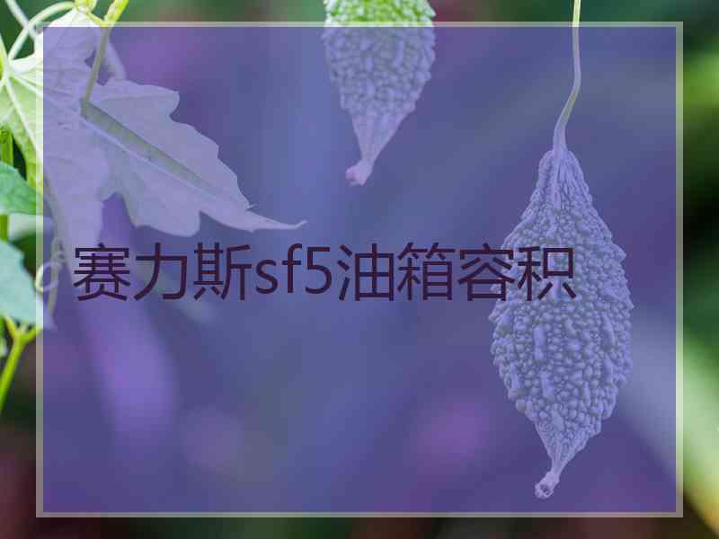 赛力斯sf5油箱容积