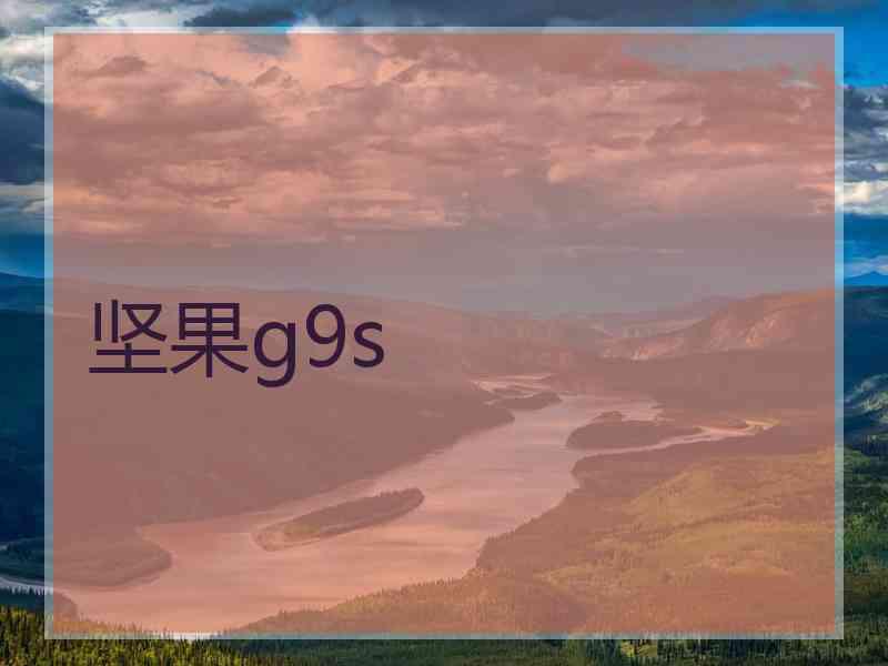坚果g9s