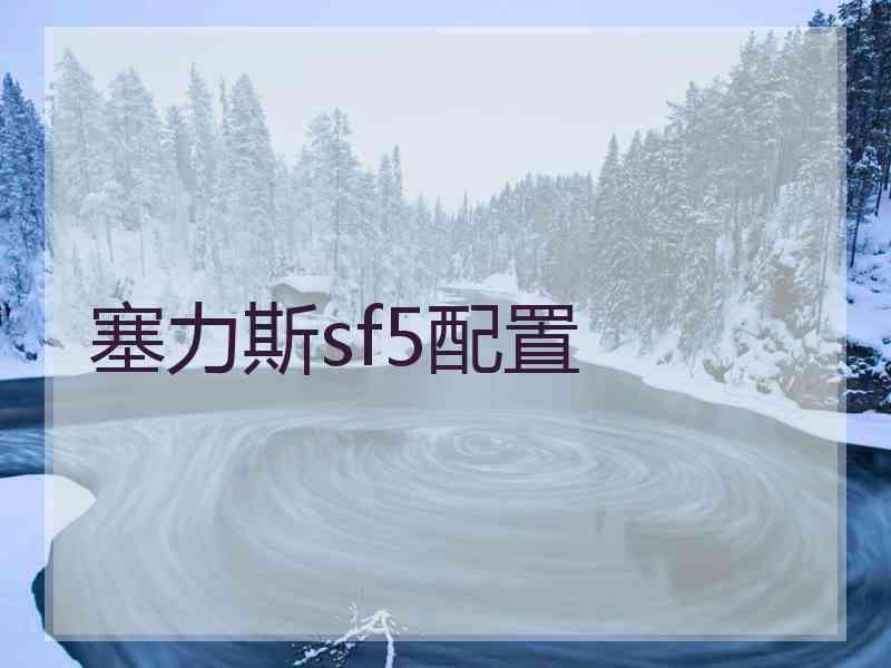 塞力斯sf5配置