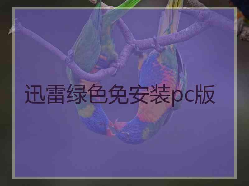 迅雷绿色免安装pc版