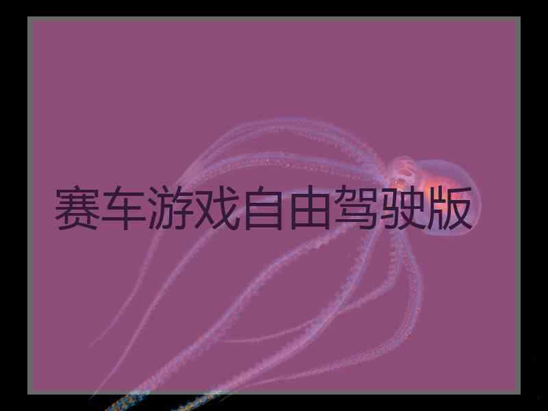 赛车游戏自由驾驶版