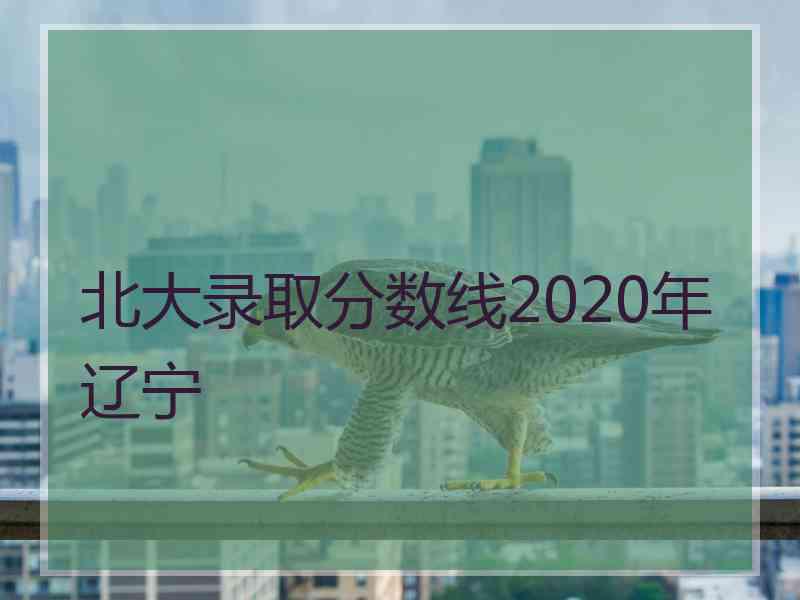 北大录取分数线2020年辽宁