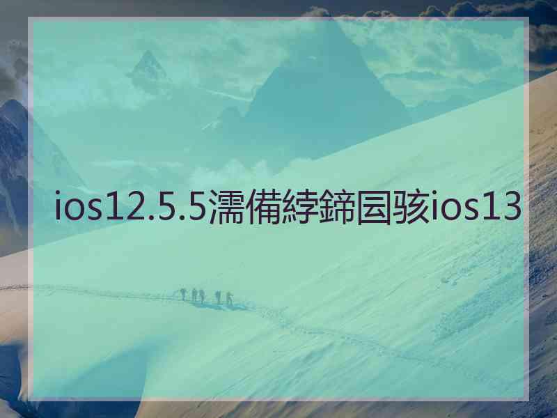 ios12.5.5濡備綍鍗囩骇ios13
