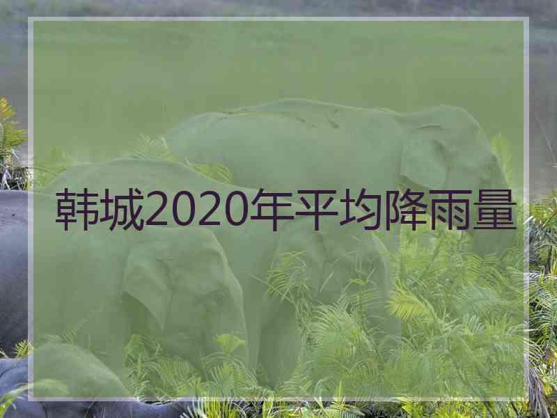 韩城2020年平均降雨量