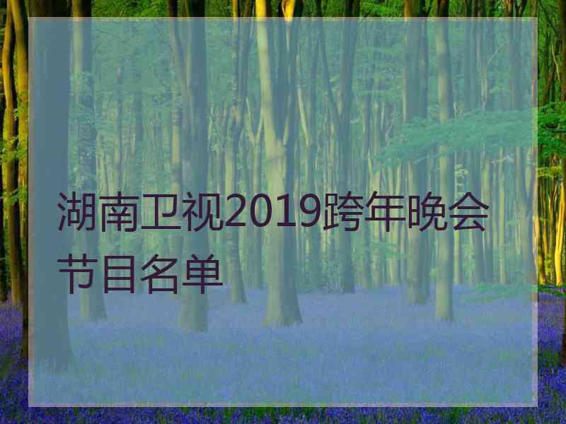 湖南卫视2019跨年晚会节目名单