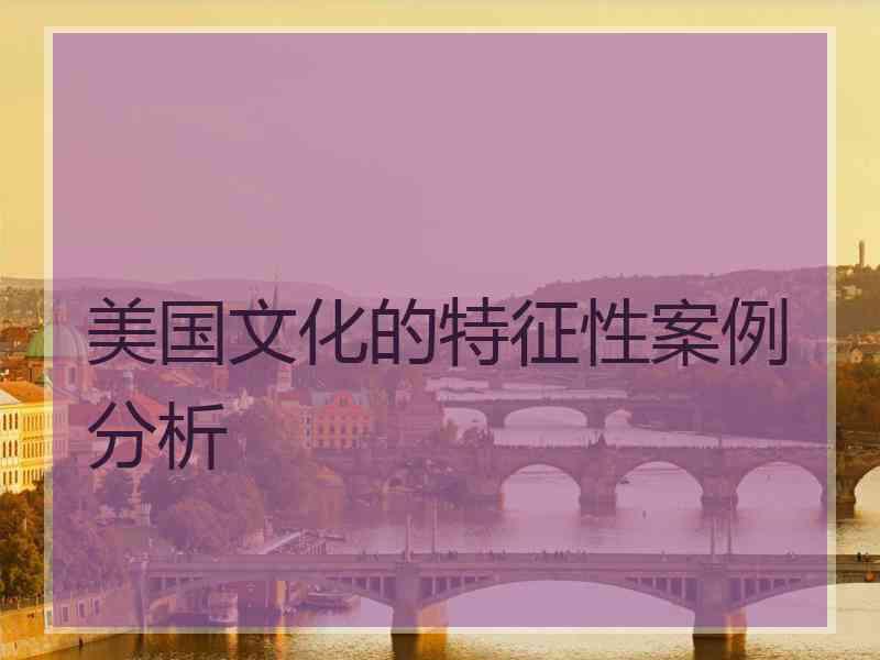 美国文化的特征性案例分析